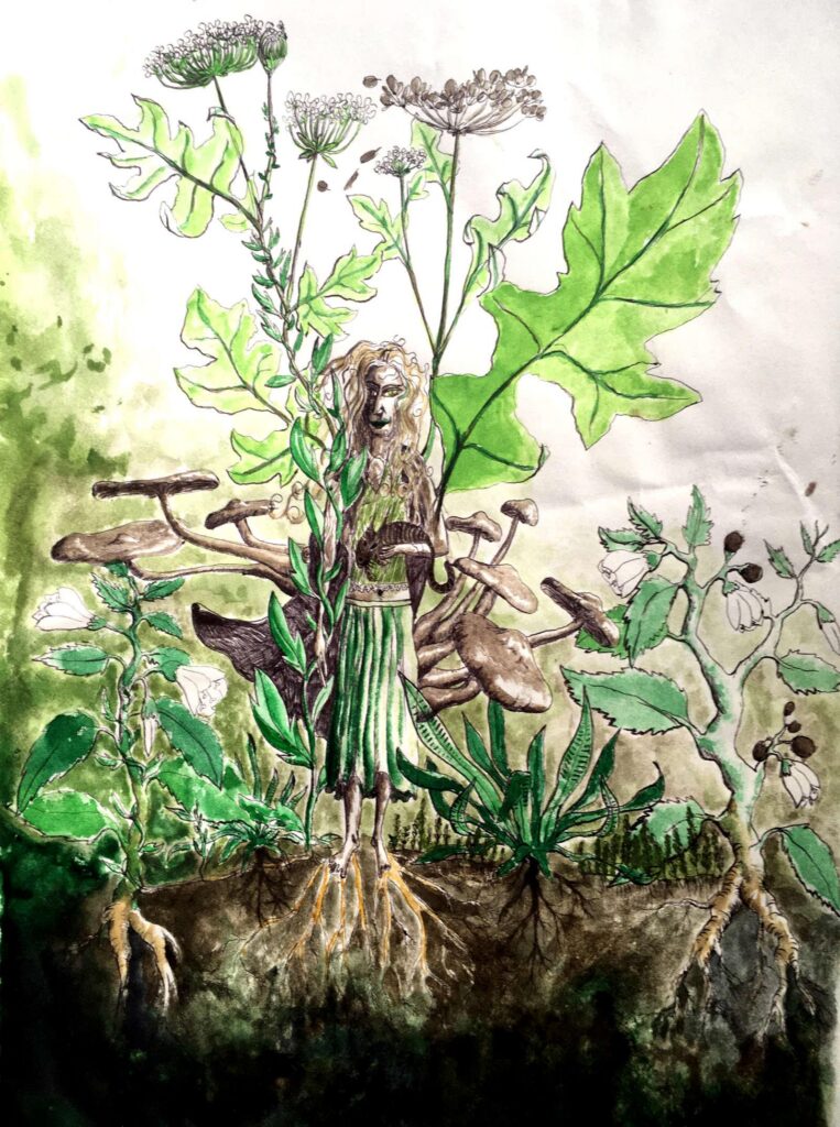 dessin fee vegetale