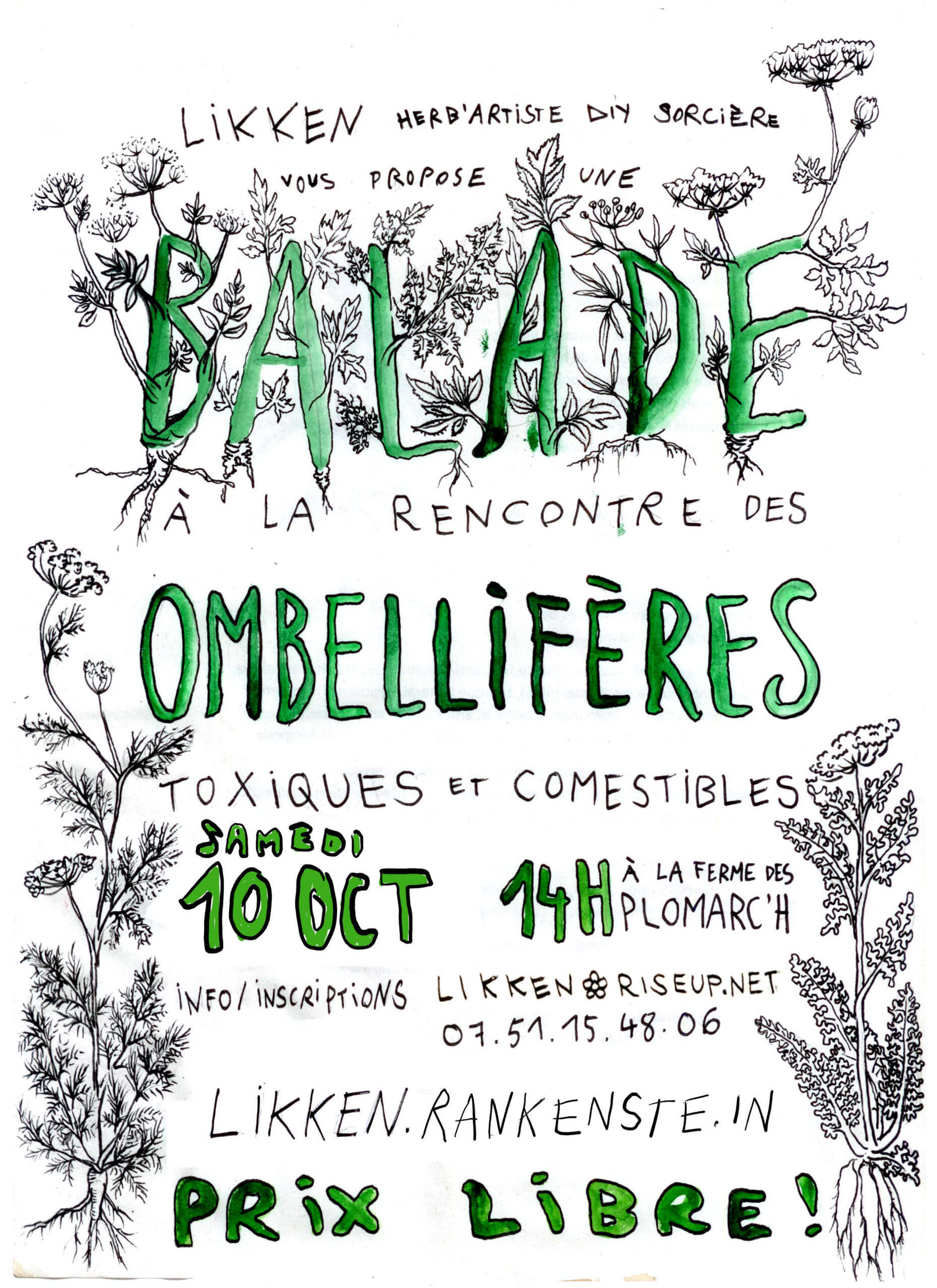affiche pour la balade ombelliferes