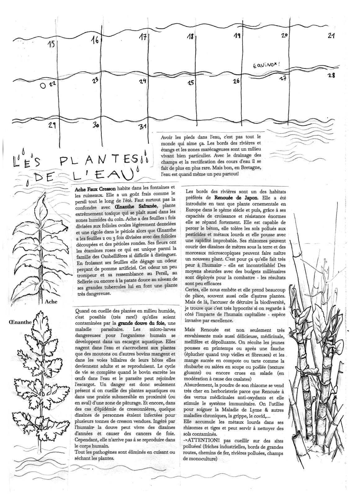 03mars2
